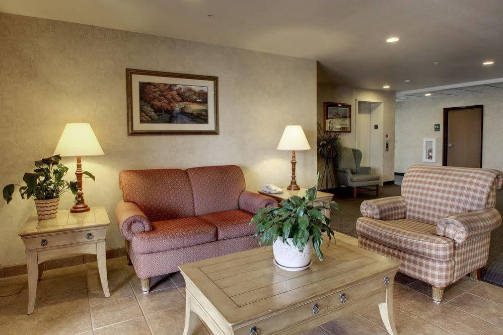Oak Hill Inn & Suites Canton Dış mekan fotoğraf
